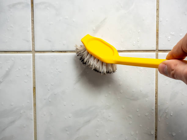 Best Residential Mold Remediation in Winchester, CA